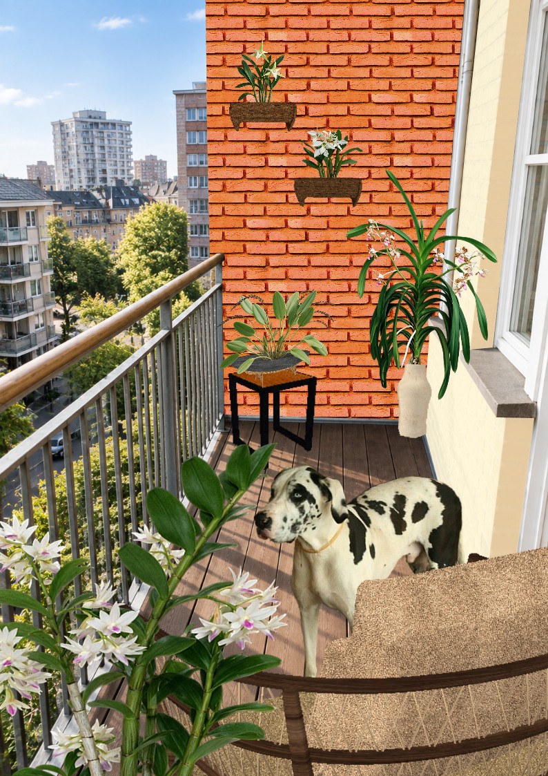 Varanda de apartamento compacta decorada com orqu�deas da nova cole��o Plantas - 2026 - Orqu�deas 01